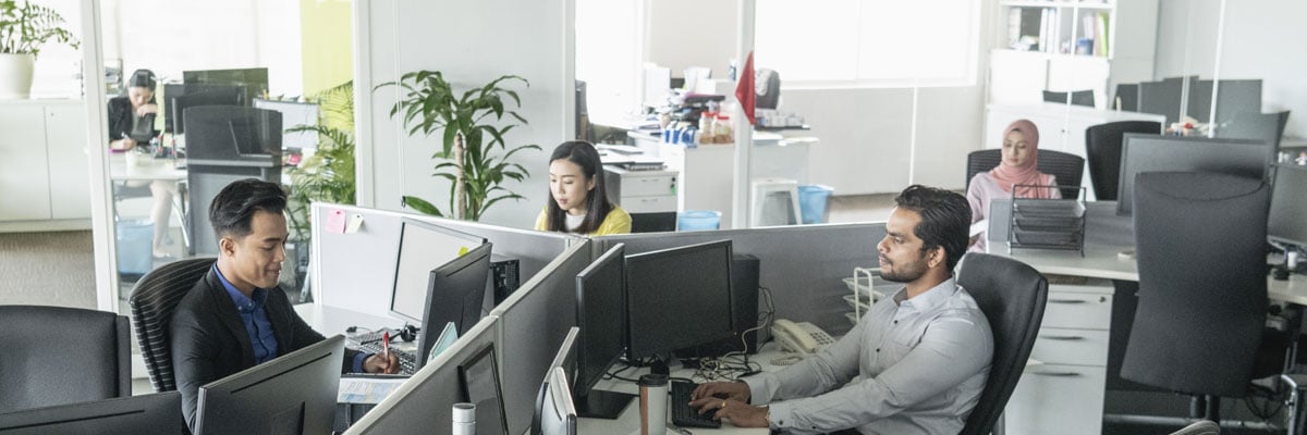 Office staff in modern cubicles