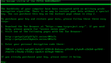 The State of Cyber Security – Ransomware PETYA 