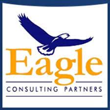 eagle consulting partners interview